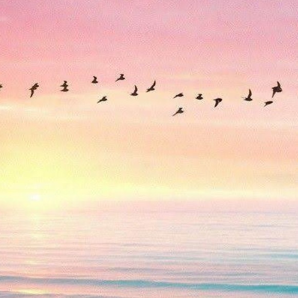 Meet your Posher, Kimberlee - Picture 1 of 1